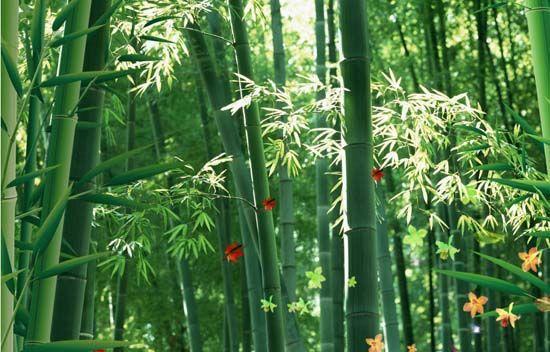 大自然沁人心脾的新鮮空氣，在家也能呼吸到