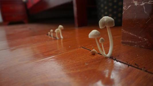 潮濕的地下室對人體有哪些危害？